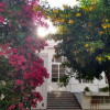 Imagen de Silvina Andrada