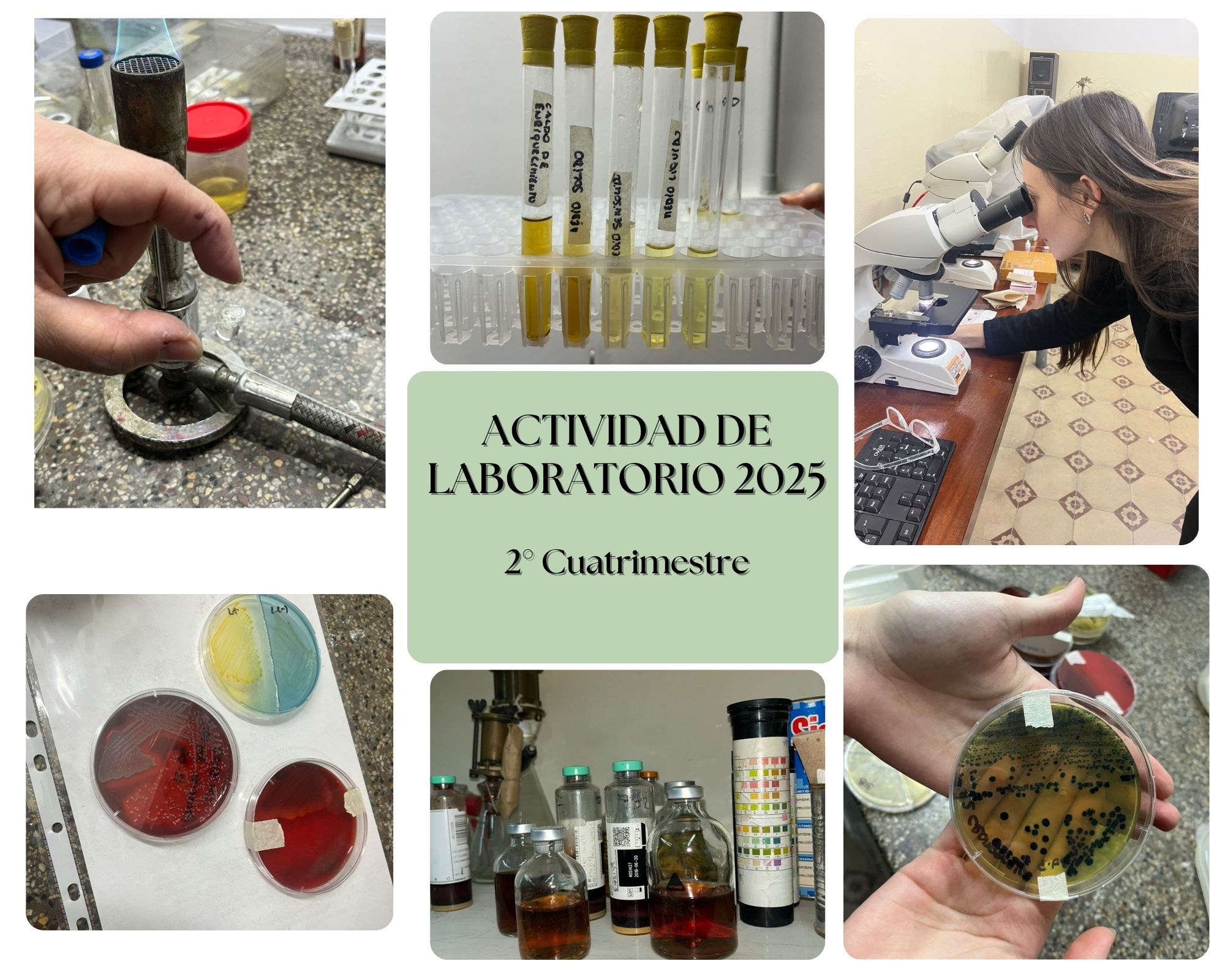Adjunto Actividad de Laboratorio 2do cuatrimestre 2025.jpg
